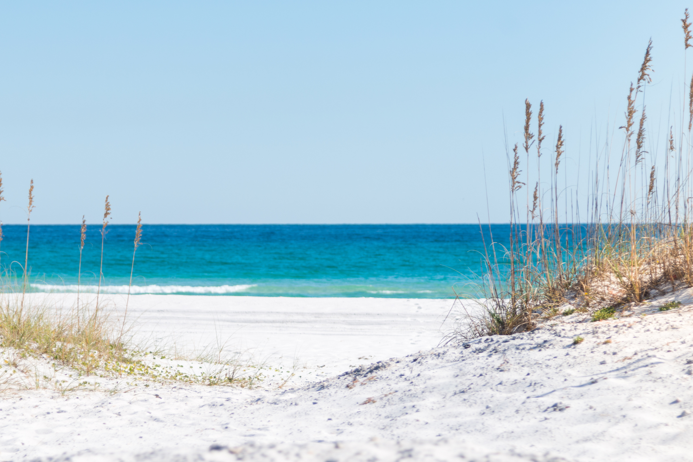 pensacola, florida.webp